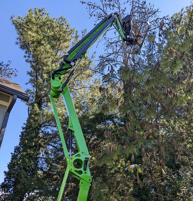 hydraulic lift with worker in it cutting tall limbs