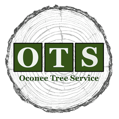 Professional Tree Trimming Services in Athens, GA | Oconee Tree Services