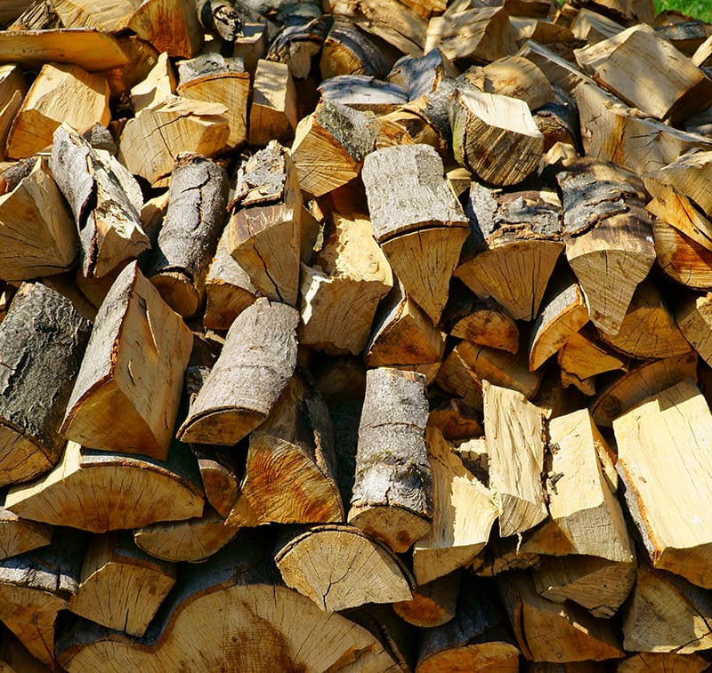 dry firewood logs in a pile